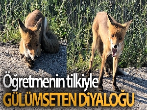 Öğretmenin tilkiyle gülümseten diyaloğu