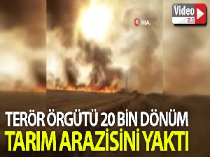 Terör örgütü YPG/PKK, 20 bin dönüm tarım arazisini yaktı