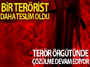 Mardin'de bir terörist ikna sonucu teslim oldu