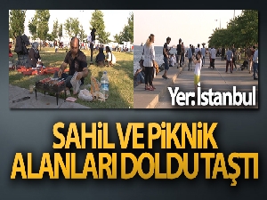 Normalleşme süreci ile birlikte sahil ve piknik alanları doldu taştı