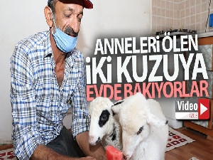 'Garip' ve 'Öksüz' kardeşler