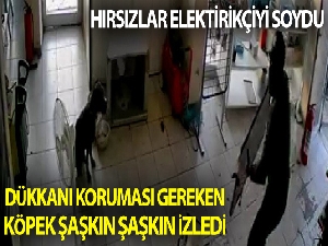 Üsküdar'da hırsızlar elektrikçiyi soydu, dükkan içerisindeki köpek ise olayı şaşkınlıkla izledi