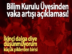 Bilim Kurulu Üyesi Prof. Dr. Çelik, vaka artışını değerlendirdi: 'Küçük piklerden biri'