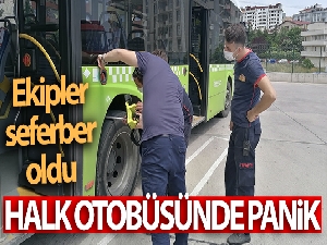 Halk otobüsüne giren 2 metrelik yılan itfaiye ekiplerini seferber etti