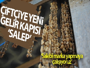 Çiftçiye yeni gelir kapısı: Salep