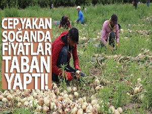 Geçen yıl 6 liraya satılan soğan 50 kuruşa kadar düştü