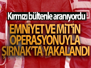 Kırmızı bültenle aranıyordu! Emniyet ve MİT'in operasyonuyla Şırnak'ta yakalandı