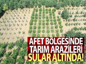 Afet bölgesinde binlerce dönüm tarım arazisi sular altında