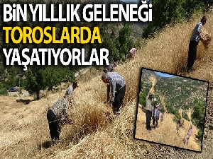 Bin yıllık hasat geleneğini Torosların zirvesinde yaşatıyorlar