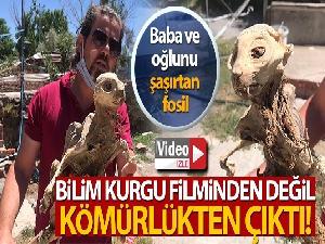 Bilim kurgu filminden değil kömürlükten çıktı!