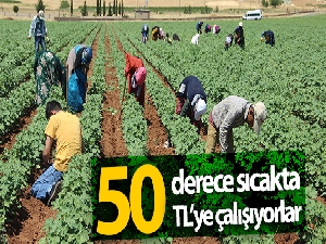 50 derece sıcaklıkta 50 liraya çalışıyorlar