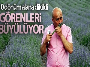 10 dönüm alana dikildi, görenleri büyülüyor
