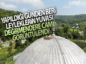 Yapıldığı günden beri leyleklerin yuvası Değirmendere Camii görüntülendi