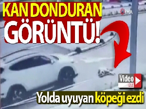 Maltepe'de kan donduran görüntü!