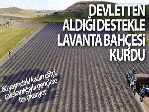Devletten aldığı destekle lavanta bahçesi kurdu, ekonomisine can kattı