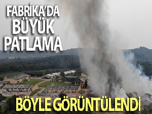 Fabrika yangını havadan görüntülendi