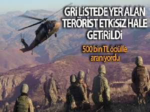 İçişleri Bakanlığı: Biri gri listede 2 terörist etkisiz hale getirildi