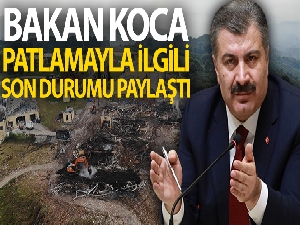 Bakan Koca'dan Hendek'teki patlamaya ilişkin açıklama