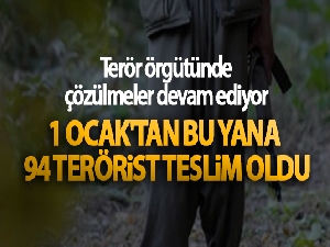 Terör örgütünde çözülmeler devam ediyor! 1 Ocak'tan bu yana 94 terörist teslim oldu