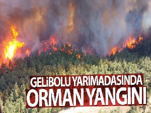 Gelibolu Yarımadası'nda orman yangını!