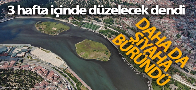 Bakan Pakdemirli: 'Yerleşim yerleri konusunda çok fazla risk kalmadı'