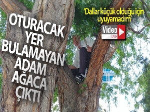 Oturacak yer bulamayan adam ağaca çıktı