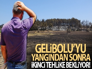 Gelibolu'yu yangından sonra ikinci tehlike bekliyor!