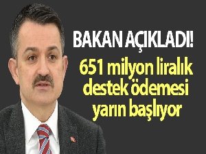 Bakan Pakdemirli: 651 milyon liralık destek ödemesi yarın başlıyor