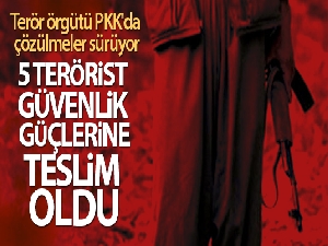 Şırnak'ta ikna yoluyla 5 terörist, güvenlik güçlerine teslim oldu