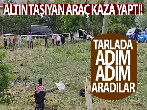 Altın taşıyan araç kaza yaptı, güvenlik güçleri tırmıkla tarlada altın aradı