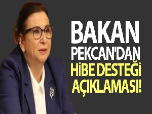 Bakan Pekcan'dan hibe desteği açıklaması