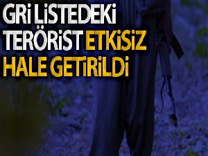 Etkisiz hale getirilen ‘Hejar' kod adlı terörist 500 bin TL ödülle aranıyormuş