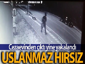 Cezaevinden çıktı yine hırsızlık yaptı