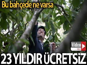 Bu bahçedeki sebze ve meyveler 23 yıldır ücretsiz