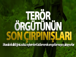 Terör örgütünün son çırpınışları