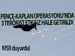 Pençe-Kaplan Operasyonu'nda 3 terörist etkisiz hale getirildi