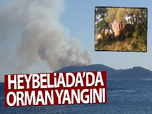 İstanbul Heybeliada'da orman yangını