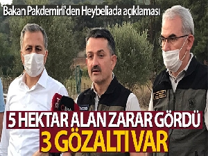 Bakan Pakdemirli'den Heybeliada açıklaması