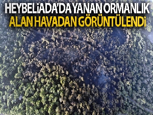 Heybeliada'da yanan ormanlık alan havadan görüntülendi