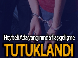 Heybeliada'daki yangına ilişkin gözaltına alınan şahıs tutuklandı