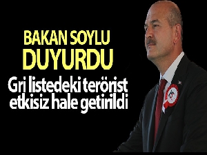 Bakan Soylu duyurdu: Gri listedeki terörist etkisiz hale getirildi