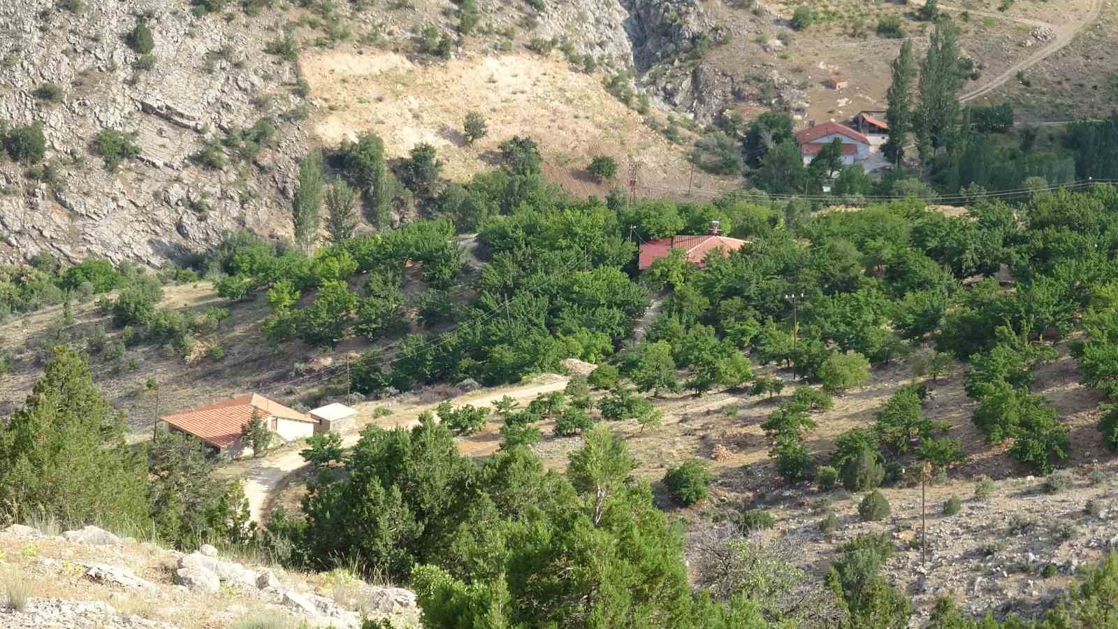 cinayete-kurban-giden-aysel-yildirim-icin-1600-rakimli-daglik-alanda-arama