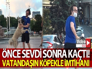 Önce sevdi, sonra kaçtı: Taksim'de vatandaşın köpekle imtihanı