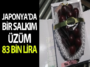 Japonya'da bir salkım üzüme rekor fiyat
