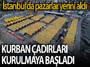 İstanbul'da kurbanlıklar çadırları doldurmaya başladı
