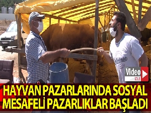 Hayvan pazarlarında sosyal mesafeli pazarlıklar başladı