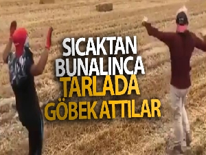 Sıcaktan bunalınca tarlada göbek atıp oynadılar