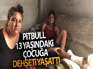 Pitbull 13 yaşındaki çocuğa dehşeti yaşattı