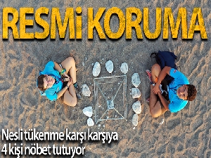 Caretta carettalara resmi koruma