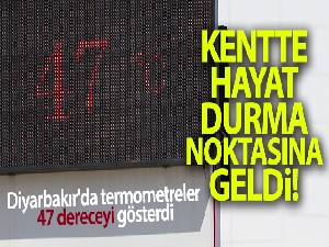 Diyarbakır'da termometreler 47 dereceyi gösterdi, hayat durma noktasına geldi